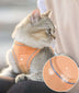 Cat Traction Rope Home Vest-Style Chest Harness Cute Anti-Stroke Cat Walking Rope - Minihomy