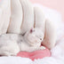 Angel Wings Love Cat Nest Sleeping Spring Warm Cat Bed Four Seasons Universal Cute Cat Nest Mat Dual-use - Minihomy