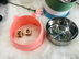 Pet Ceramic Dog Bowl Cat Food Bowl Water Bowl Double Bowl Large Anti-Overturning Protection Spine - Minihomy