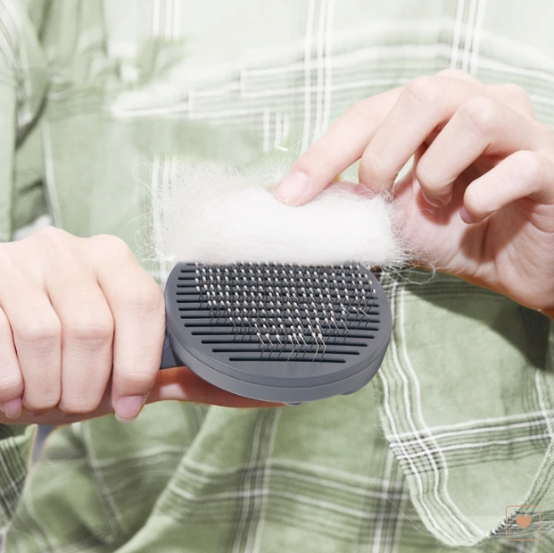 Pet Self-cleaning Comb Massage To Remove Floating Hair - Minihomy