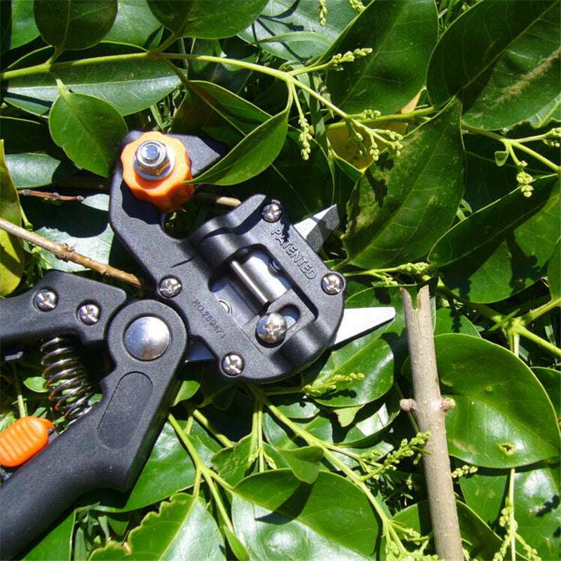 Grafting Shears For Gardening - Minihomy