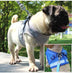 Dog Harness And Leash Set - Minihomy