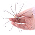 Hair Hair Raising Octopus Scalp Massager Massage Claw Manual Massager Head Massager  Grasper - Minihomy