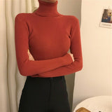 High Collar Warm Long Sleeve Sweater Women - Minihomy