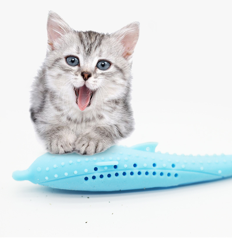 Cat Toothbrush Toy - Minihomy