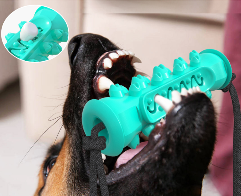 Dog Chew Toys Pet Toothbrush Rubber Bones Teeth Cleaning - Minihomy