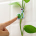 10Pcs Snail  Wall Rattan Clamp Clip Flower Plant Support Climbing - Minihomy