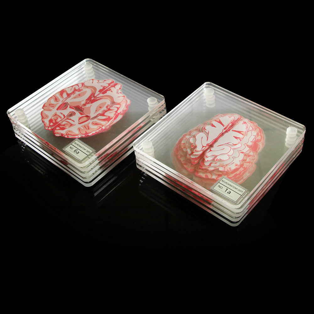 Creative Floral Brain Slices Acrylic Coasters Party Favors - Minihomy