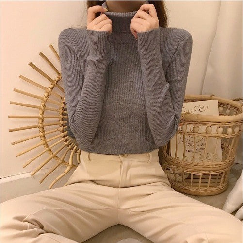 High Collar Warm Long Sleeve Sweater Women - Minihomy