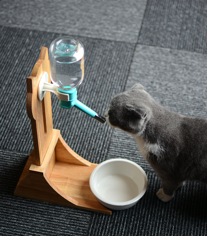 Cat Drinking Water Dispenser Drinking Fountains Cat Drinking Water Dog Drinking Water Pet Supplies Cat Kettle - Minihomy