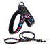 Colorful Dog Leash Dog Walking Rope Small And Medium-sized Dog Explosion-proof Dog Chain - Minihomy