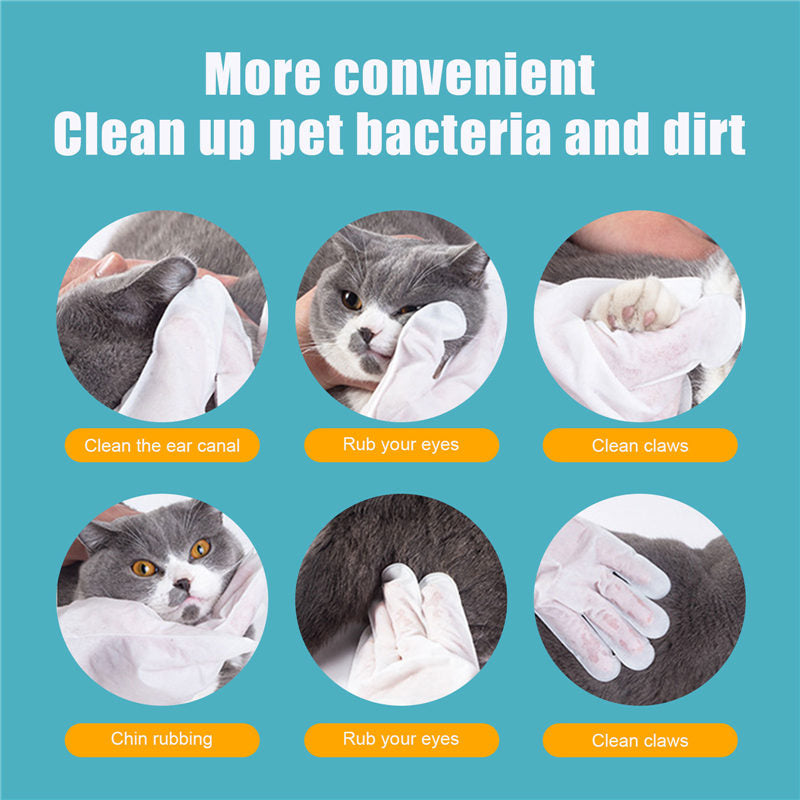 No-bath And Cat-free Non-woven Gloves - Minihomy