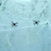 Halloween Spider Cotton Accessories Haunted House Horror Decoration - Minihomy