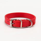 Pet supplies collar - Minihomy