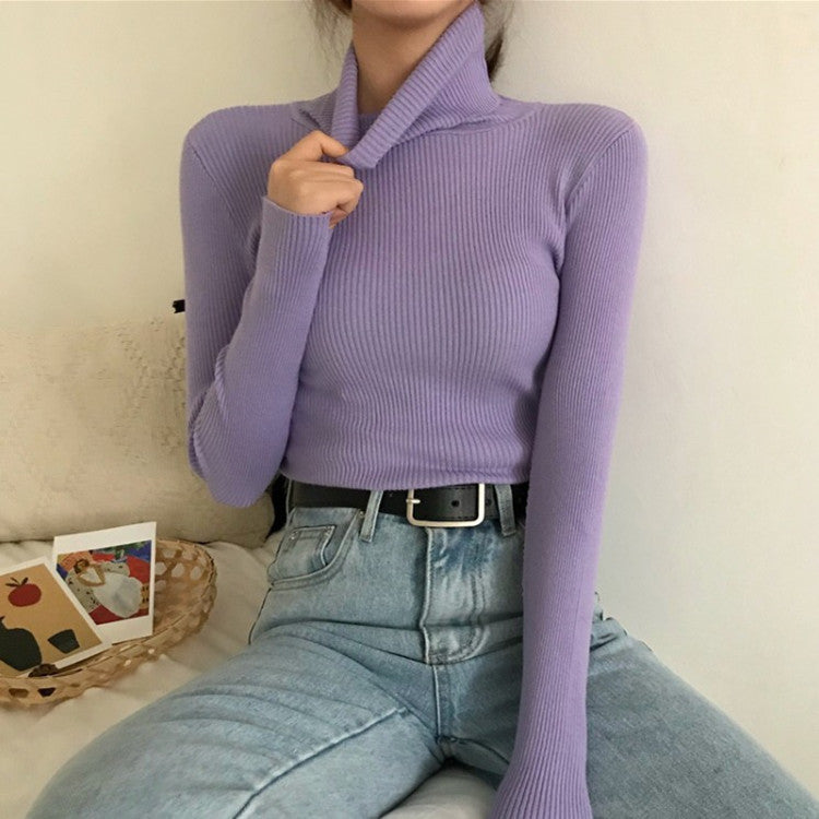 High Collar Warm Long Sleeve Sweater Women - Minihomy