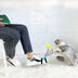 Cat Toy Funny Cat Stick with Strong Feathers - Minihomy