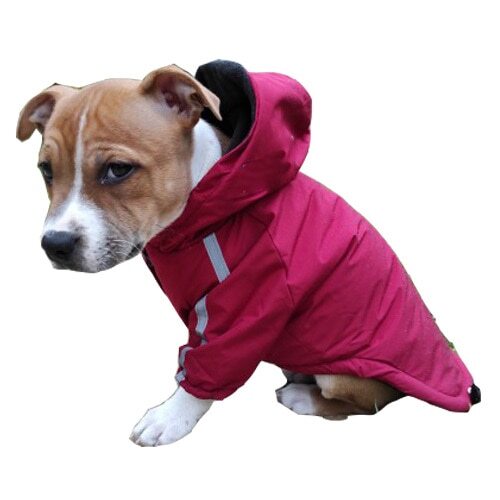 Color: Red, Size: 3XL - Autumn Winter Pet Dog Waterproof Warm Coat Cotton Hooded Jacket The Dog Face Small Dogs Cat Reflective Pet Clothes Winter Coat - Minihomy