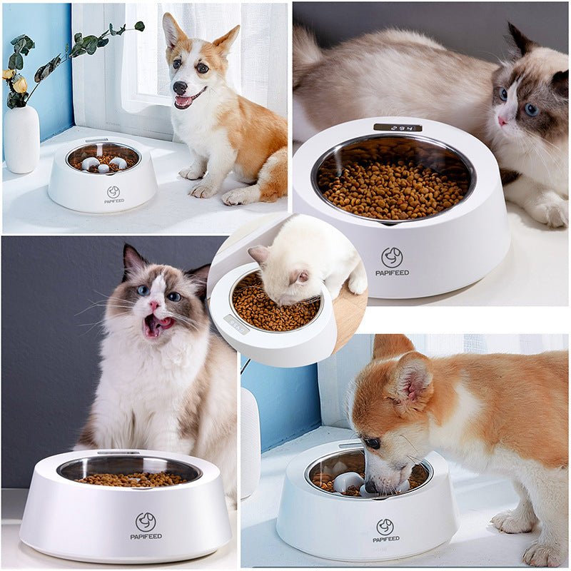 Pet Dog Bowl Slow Feeder Dog Food Bowl Smart Weighing Dog Slow Feeder Cat Pet Feeder - Minihomy