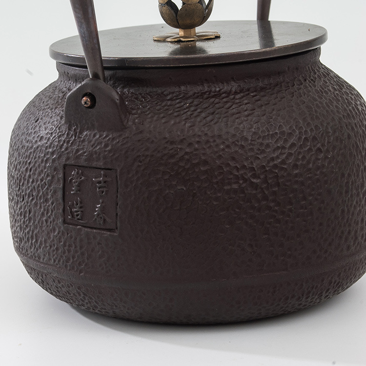 Iron teapot, kettle, iron kettle - Minihomy