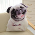 Funny 3D Dog Print Throw Pillow Creative Cushion Cute Plush Doll Gift Home Decor - Minihomy