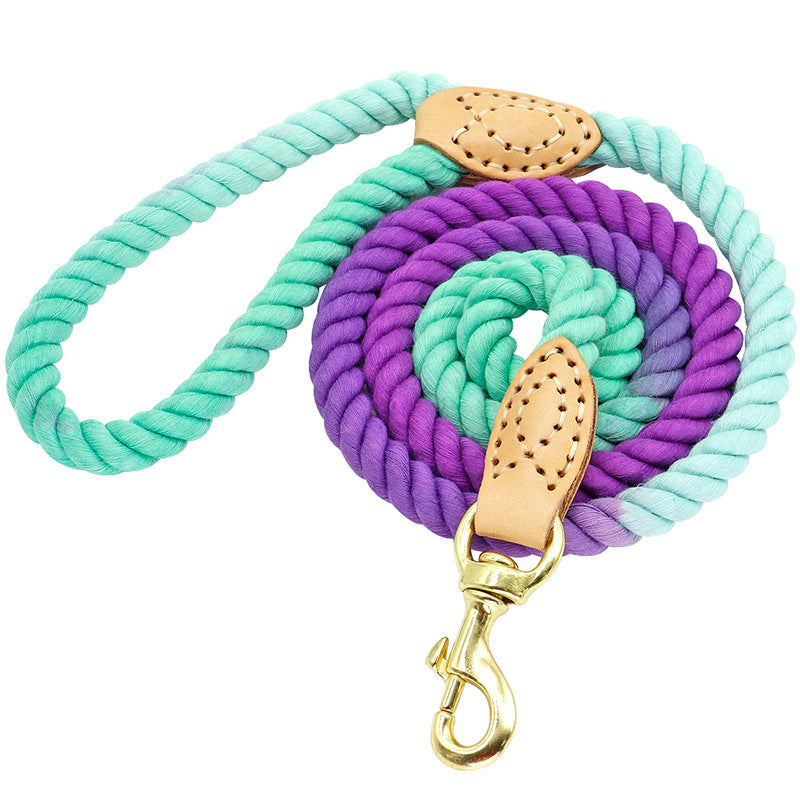 Creative One-to-two Double-headed Dog Walking Rope - Minihomy