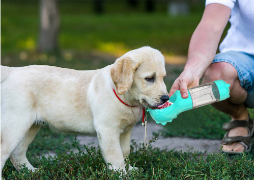 Pet Multi-functional Water Bottle - Minihomy