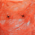 Halloween Spider Cotton Accessories Haunted House Horror Decoration - Minihomy