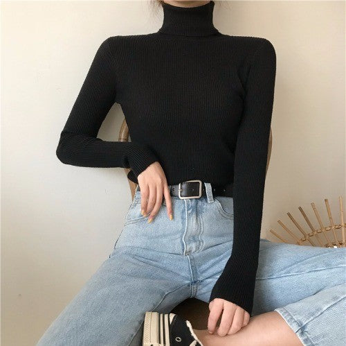 High Collar Warm Long Sleeve Sweater Women - Minihomy