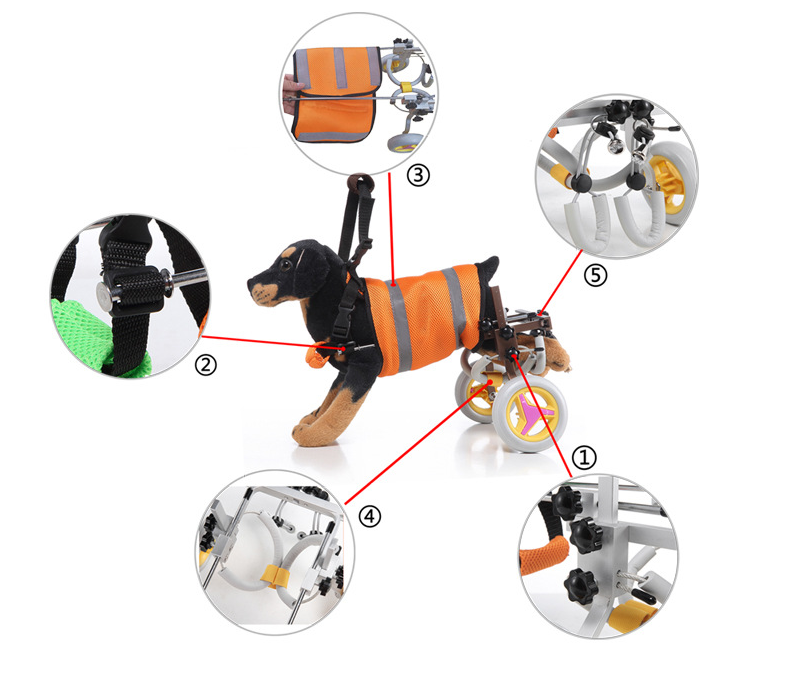 Pet Walking Dog Wheelchair Scooter - Minihomy