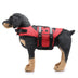 Dog Supplies Pet Swimsuit Life Jacket Pet - Minihomy