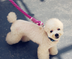 Pet dog traction rope cotton hand-woven rope dog walking rope - Minihomy