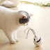 Electric funny cat toy - Minihomy