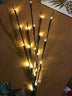 20LED Twigs Light String Decoration Living - Minihomy