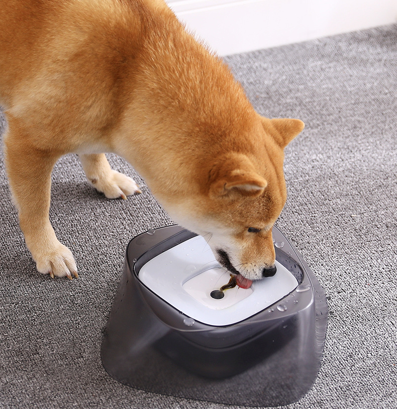 Pet Dog Bowl Floating Not Wetting Mouth Cat Bowl No Spill Drinking Water Feeder - Minihomy