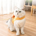 Nervous Cat Vest Traction Anti-Break Away Cat Walking Rope - Minihomy