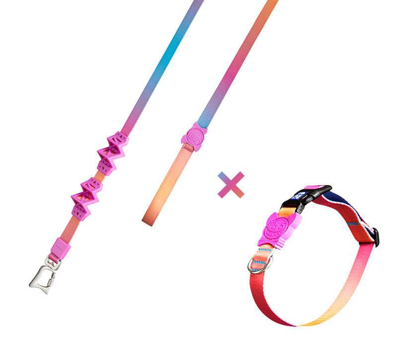 Buffer And Shock-absorbing Dog Pet Leash - Minihomy