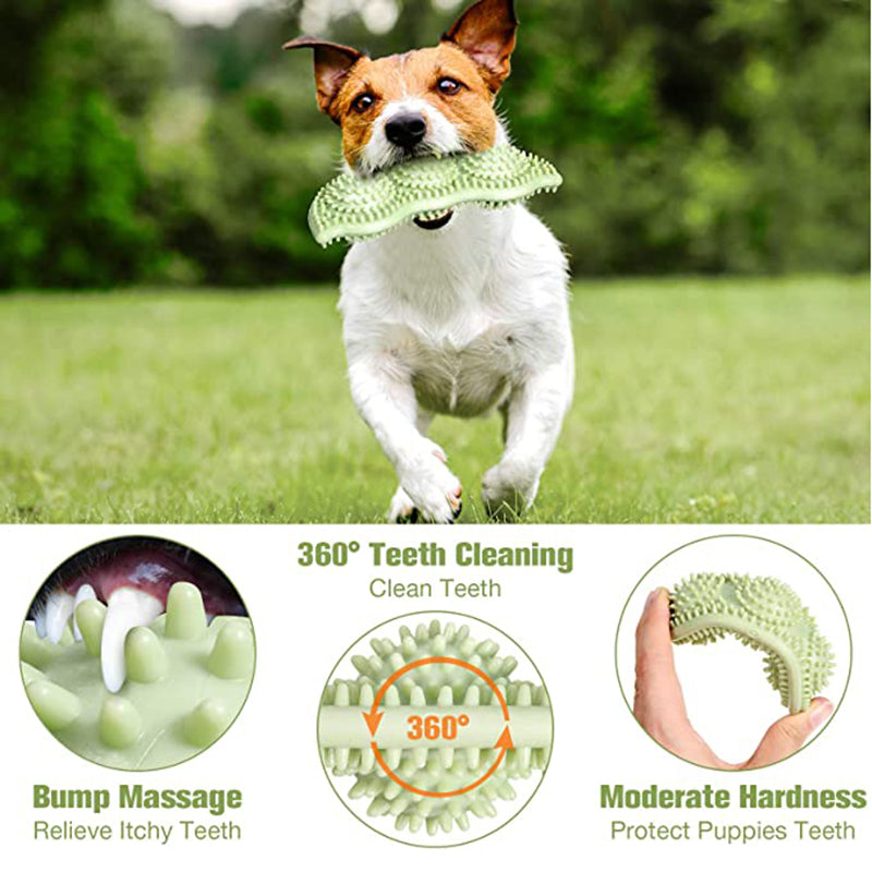 Pet Toy Chew Teeth Stick Dog Toy Ball Bite Resistant Interaction - Minihomy