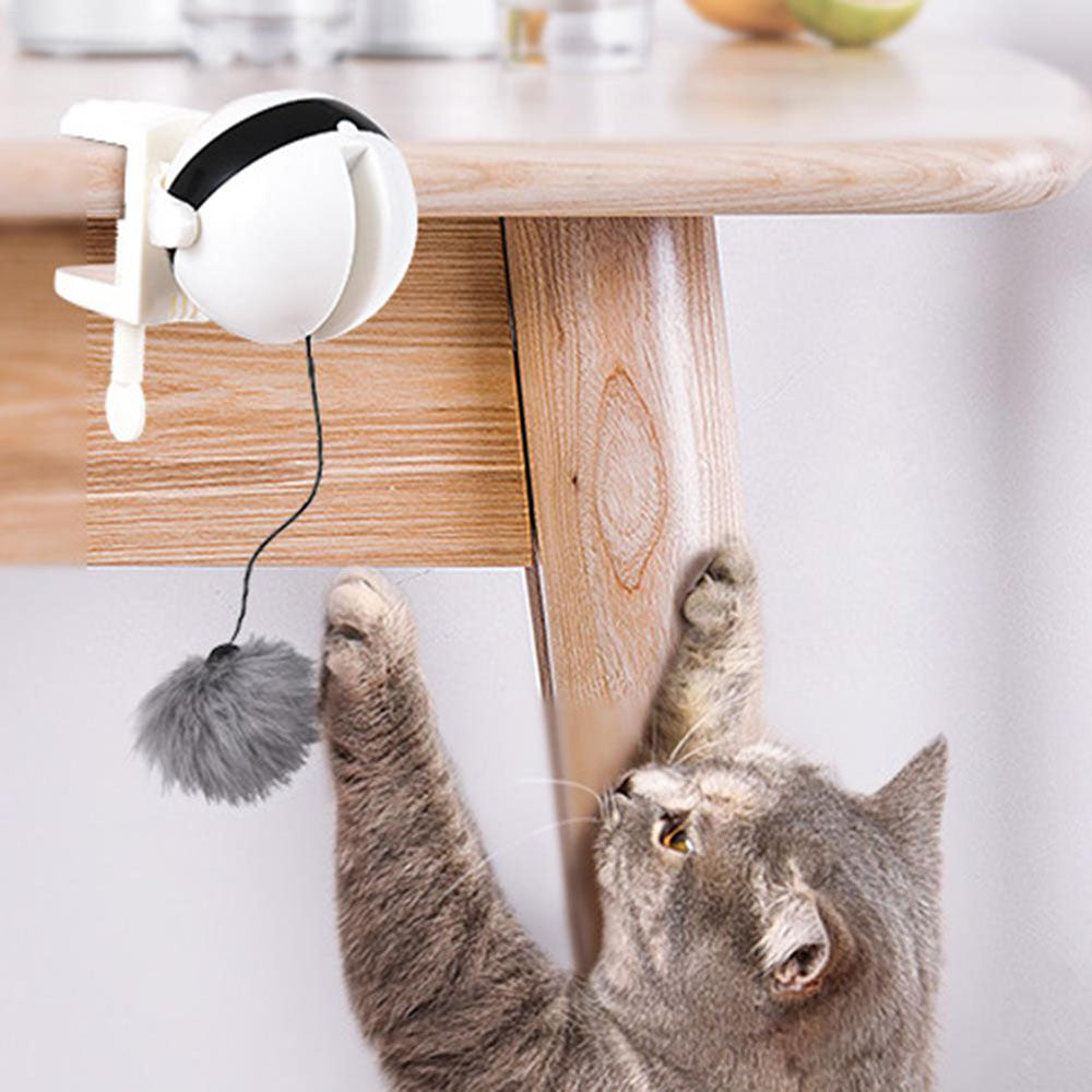 Funny Electric Cat Toy Lifting Ball Cats Teaser Toy - Minihomy