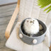 Four seasons universal cat bed cat house - Minihomy