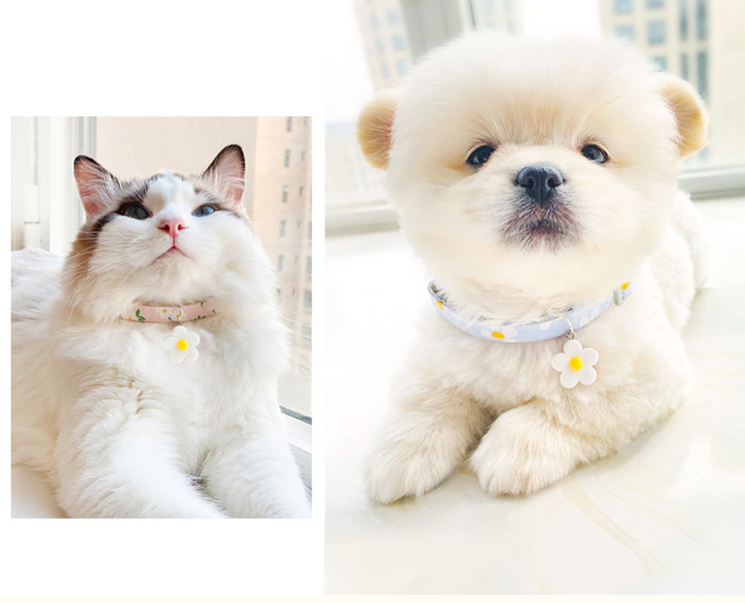 Anti-lost Cat And Dog Pet Listing Necklace Collar - Minihomy