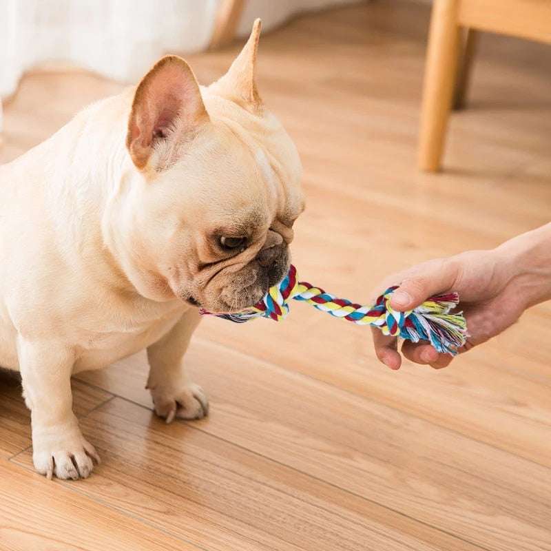 Dog bite rope toy dog rope knot molar bite-resistant color double knot cotton rope toy - Minihomy