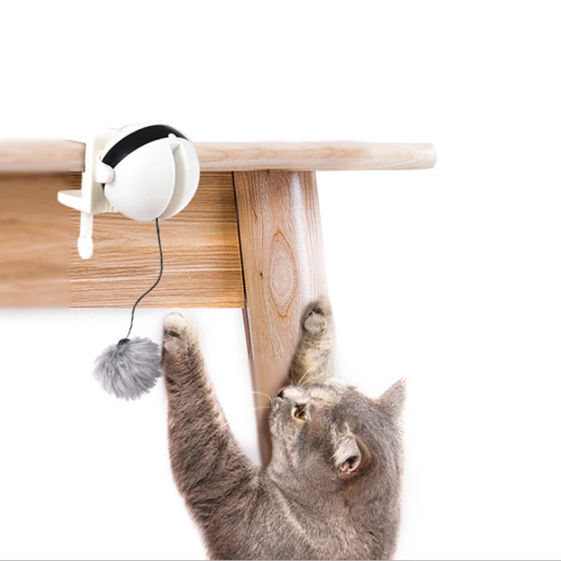 Pet Cat Toy Electronic Motion Cat Toy Interactive - Minihomy