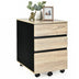 3-Drawer Mobile File Cabinet for Home Office - Minihomy