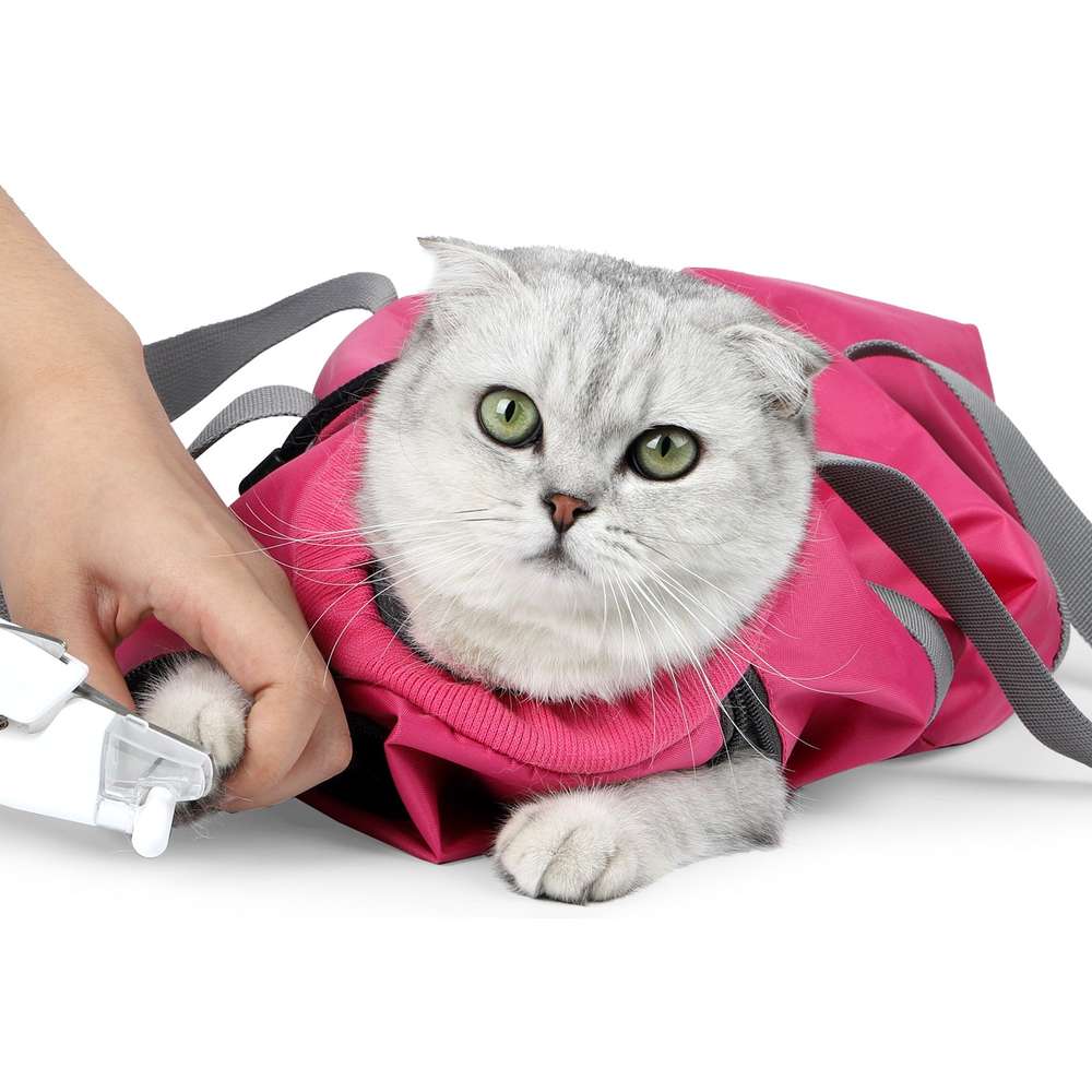 Cat Travel Bag Double Lined Anti Scratch And Bite Pet Bags - Minihomy