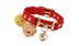 Lizard Pattern Double Buckle Leather Pet Collar - Minihomy