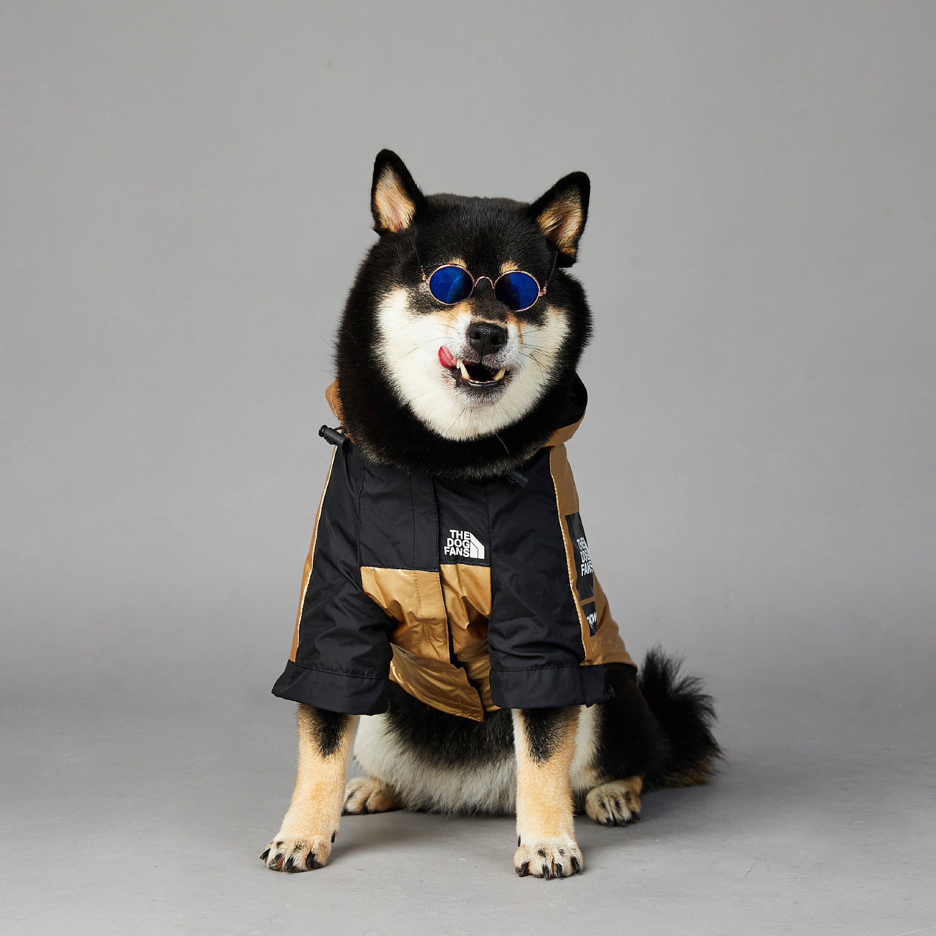 Stylish Raincoat for Large Dogs - Pet Jacket to Keep Your Pooch Dry and Comfy