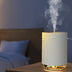 Night Light Humidifier Spray Diffuser Home Decor - Minihomy