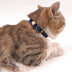 Pet supplies cat collar - Minihomy