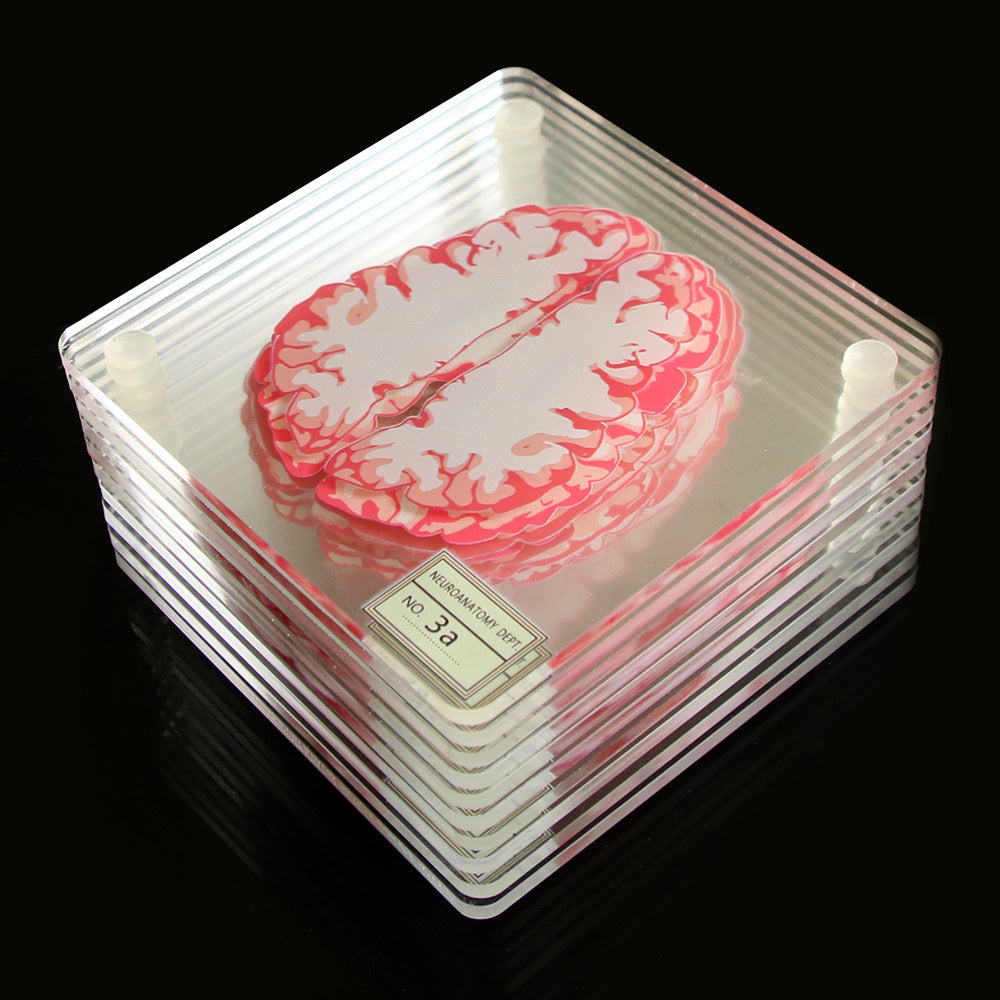 Creative Floral Brain Slices Acrylic Coasters Party Favors - Minihomy