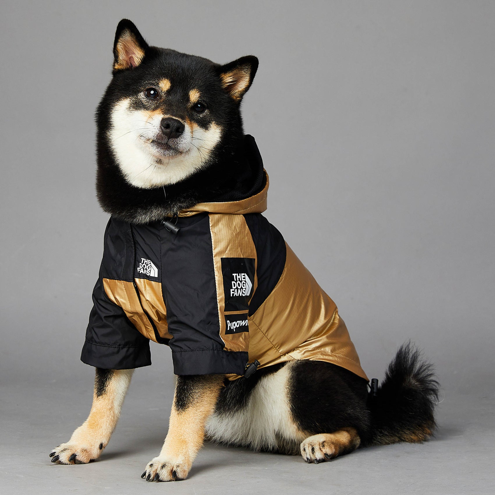 Stylish Raincoat for Large Dogs - Pet Jacket to Keep Your Pooch Dry and Comfy